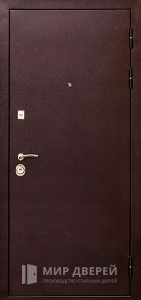 Стальная дверь С зеркалом №74 с отделкой Порошковое напыление